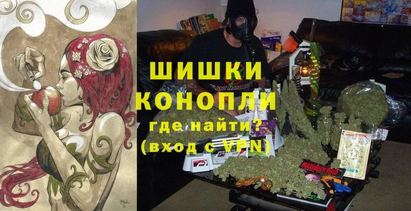 сатива Заволжск