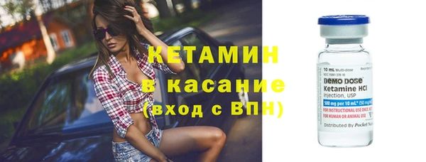 прущие грибы Заводоуковск