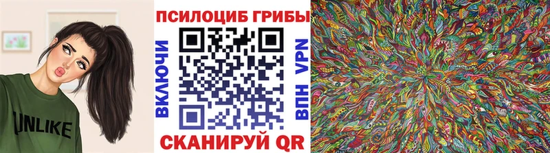 Псилоцибиновые грибы Psilocybine cubensis  Купить  Тюкалинск 